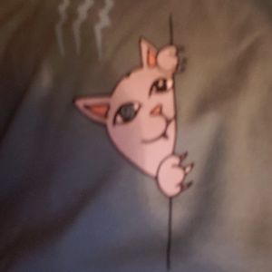 Meet your Posher, Gunner